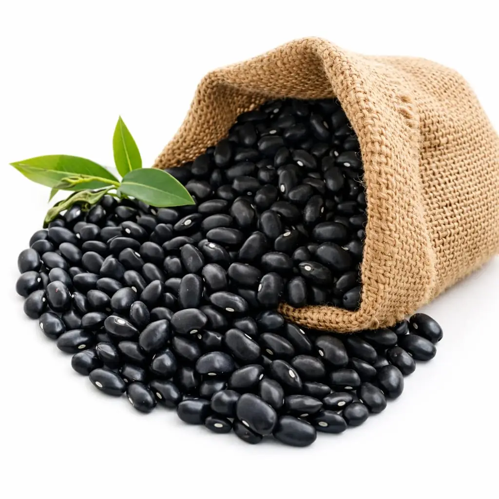 Frijoles negros importados (1 libra)